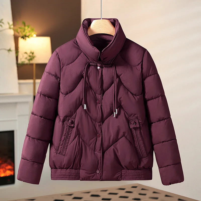 Women Jacket 2024 Chinese Style Winter Parkas Female Thick Warm Down Cotton Coat Femme Casual Short Basic Outerwear Ladies Top