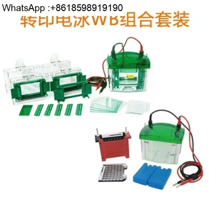 Bole bio rad electrophoresis accessories electrode core clamp side clamp 10010745