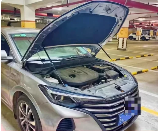 

2PC Hood Dampers For Changan Eado/XT/Eado Plus II 2018-2023 24 Front Bonnet Modify Gas Struts Lift Support Shock Absorber Piston