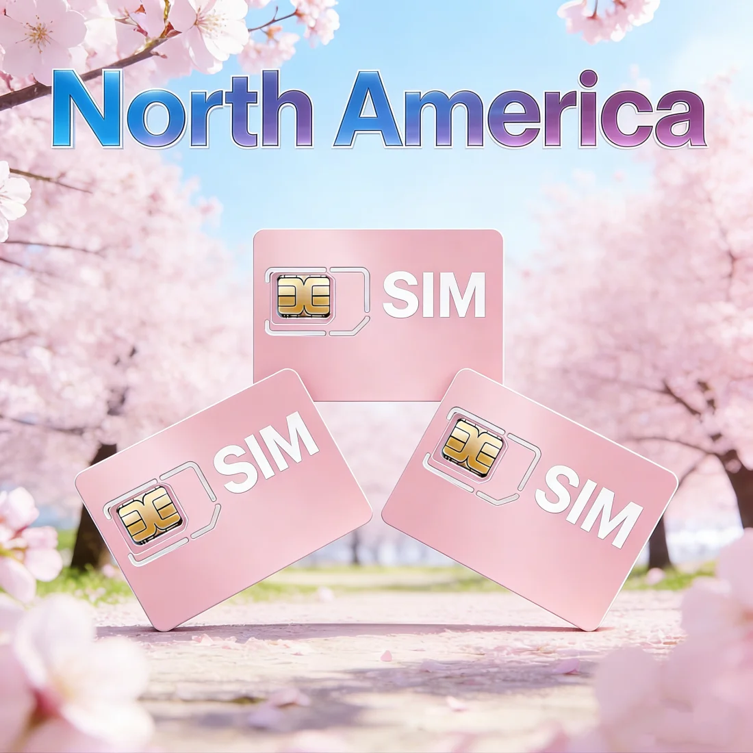 Kartu SIM Pelacak GPS Amerika Utara 2G/3G/4G Data IoT Tanpa Kontrak 360MB 360 Hari untuk S20 C09 TK403