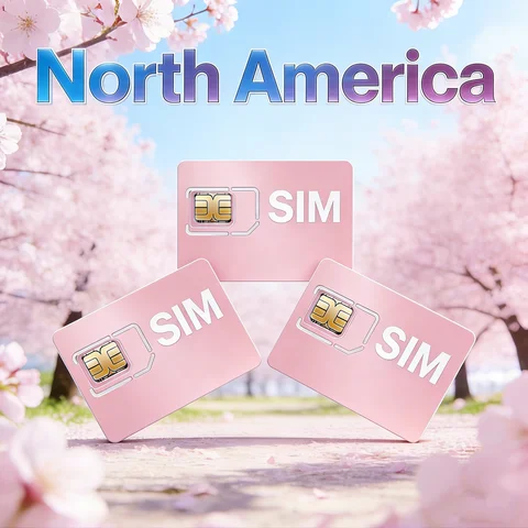 GPS Tracker SIM Card North America 2G/3G/4G IoT Data No Contract 360MB 360 Days for S20 C09 TK403
