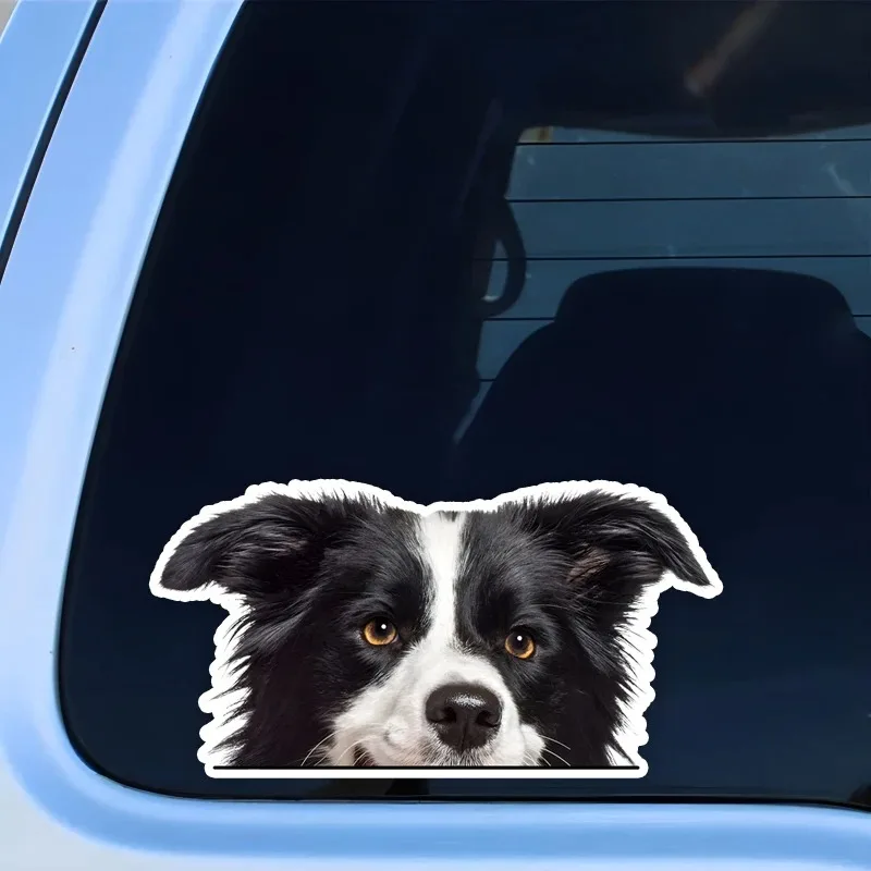 Cute Border Collie Car Stickers Waterproof Vinyl Decal For Truck Motorcycle Scooter Auto Accessories 17x8.5cm PVC KK
