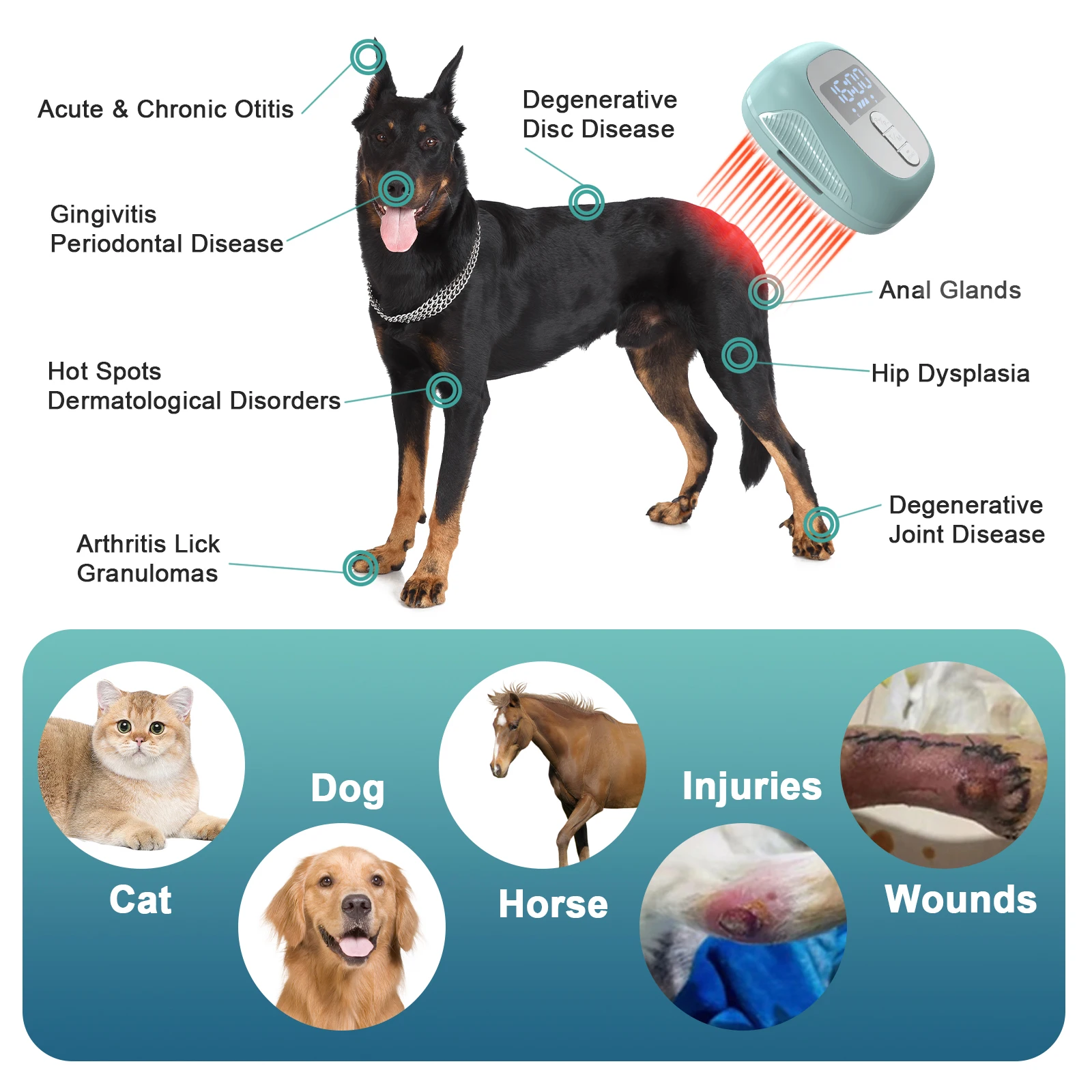 فرشاة علاج بالليزر للكلاب ، جهاز بيطري للعلاج بالضوء الأحمر لتقوية العظام ، نمو الشعر والعناية بالبشرة ، صمامات ليزر ثنائية ، 8 × 650 نانومتر #3