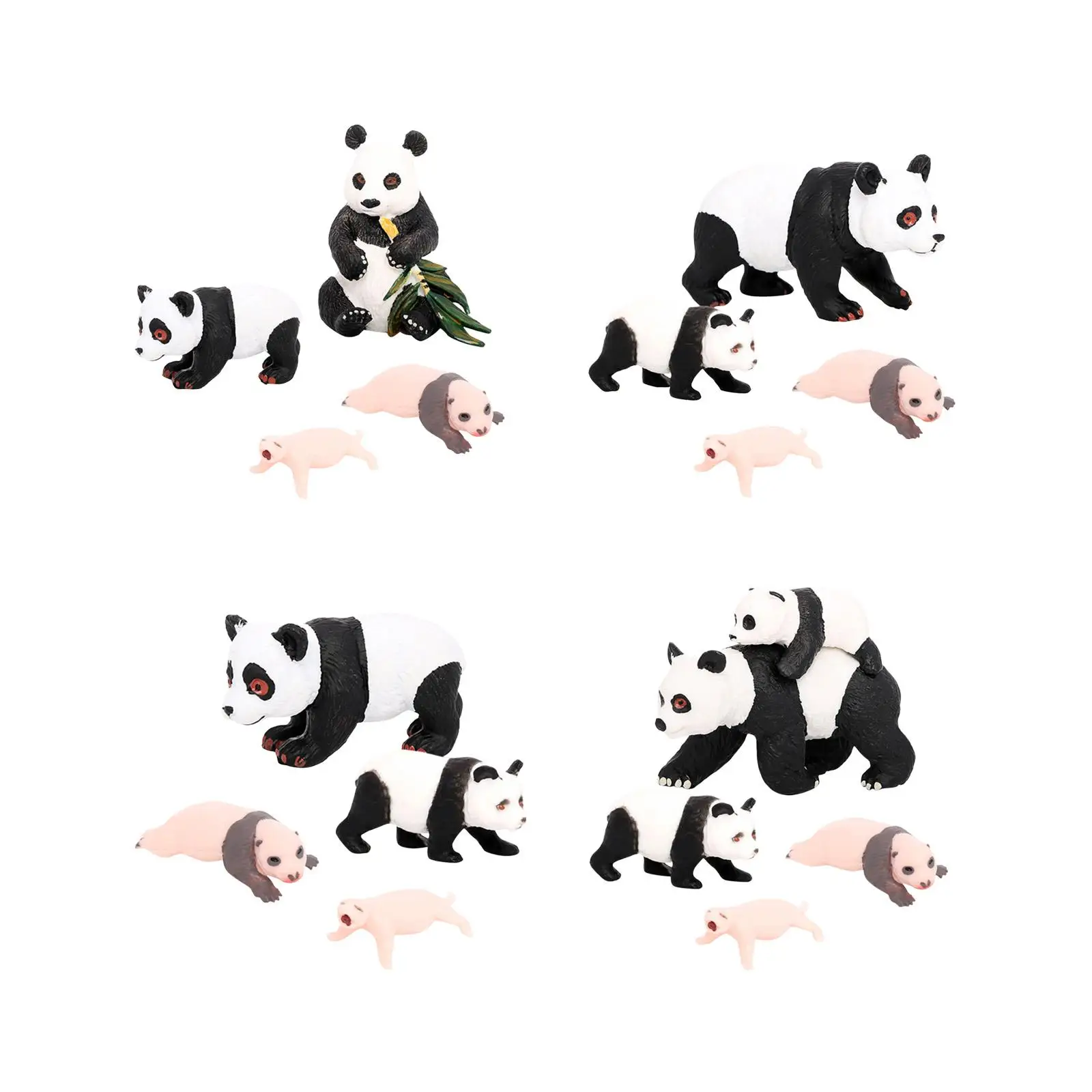 Modelo de ciclo de vida de animales Panda, 4 piezas, juguetes cognitivos, juguetes educativos de escritorio