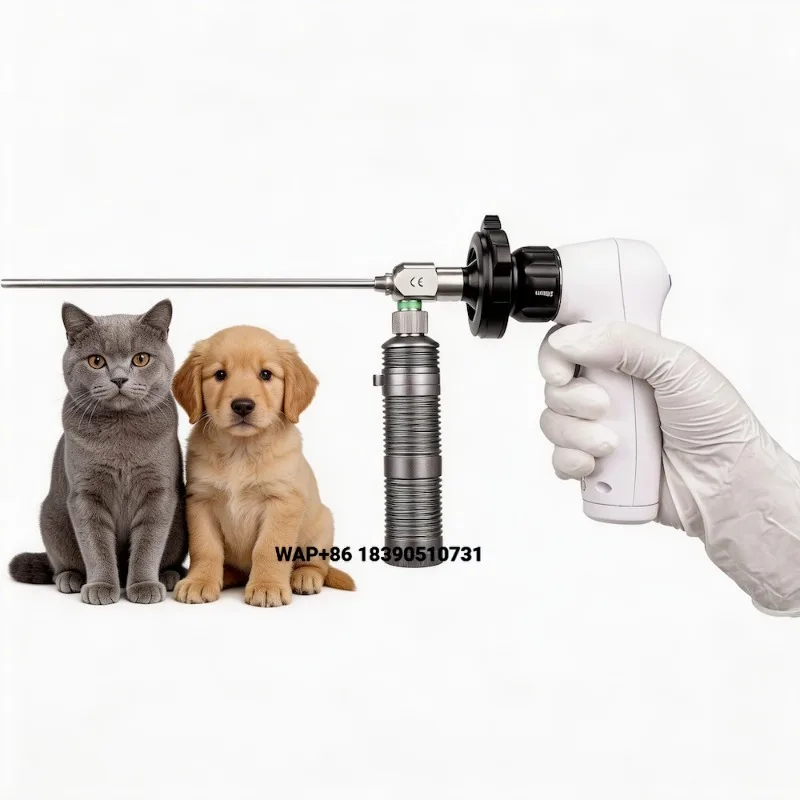 Wireless Veterinary Endoscopy System 1080p Portable Animal Clinical Diagnosis