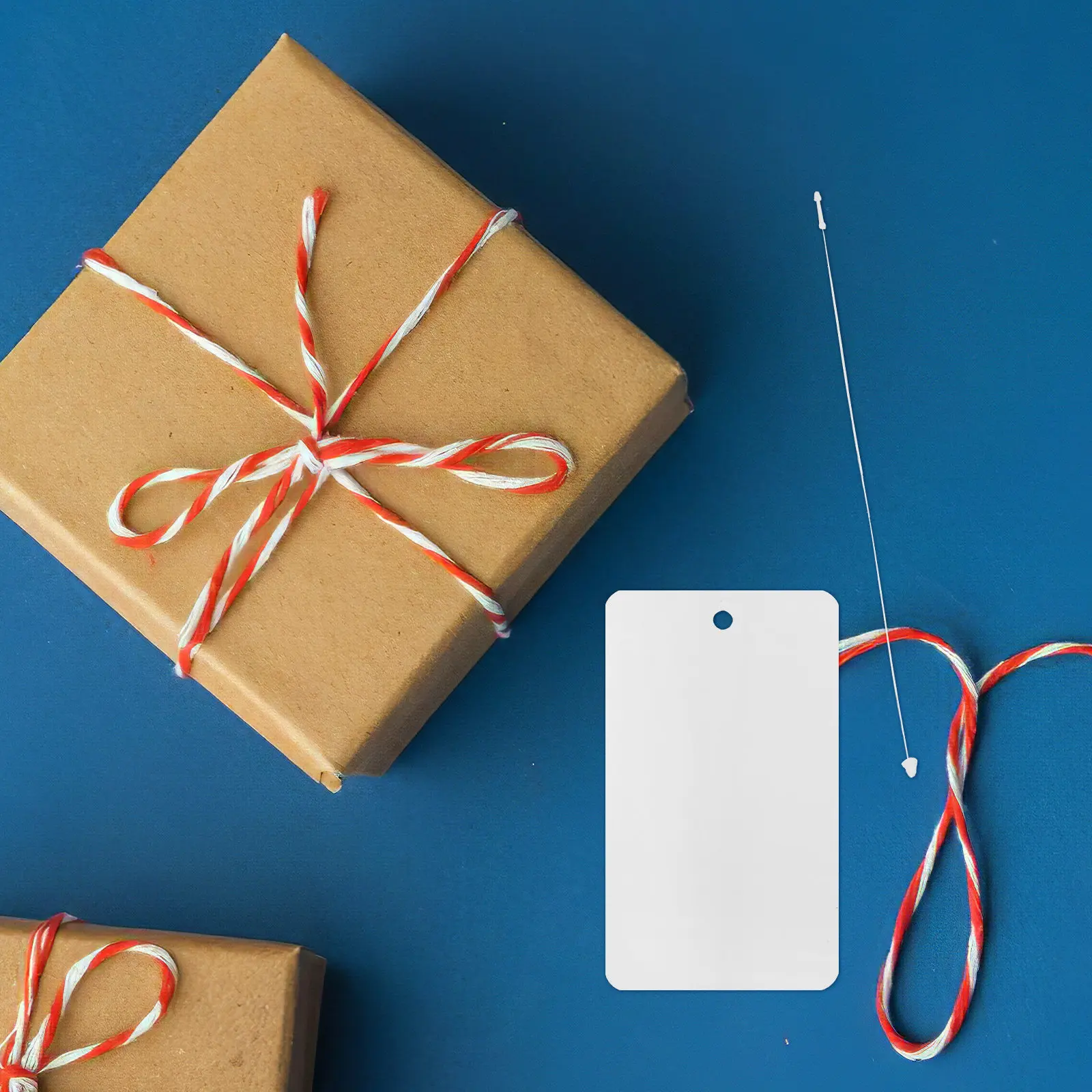 

100 шт. белых пустых бирок из ПВХ, водонепроницаемые, с веревкой для подвешивания, универсальные именные бирки, этикетки для доставки, карточки для демонстрации ювелирных изделий, карты из ПВХ