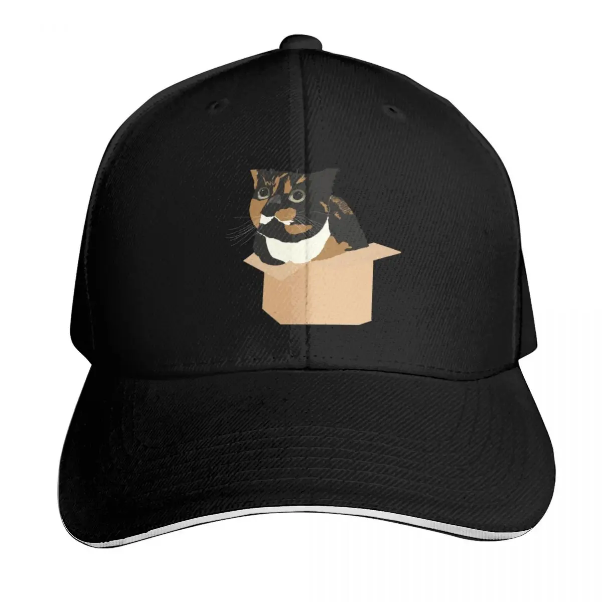clair in cardboard box Baseball Cap Contrast Two Tone Brim Snapback Flat Bill Strapback Dad Hat
