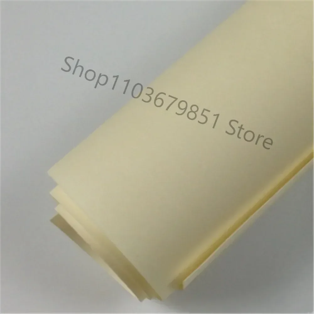 

AMI7001 Anion Exchange Membrane 2026 Years