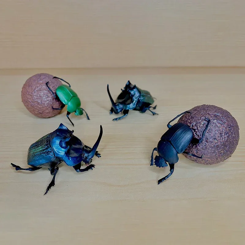 SO-TA Gashapon Capsule Toys Insect Creature Kawaii 1/1 Dung Beetle Scarab Model Ornaments Cute Action Figure Gift