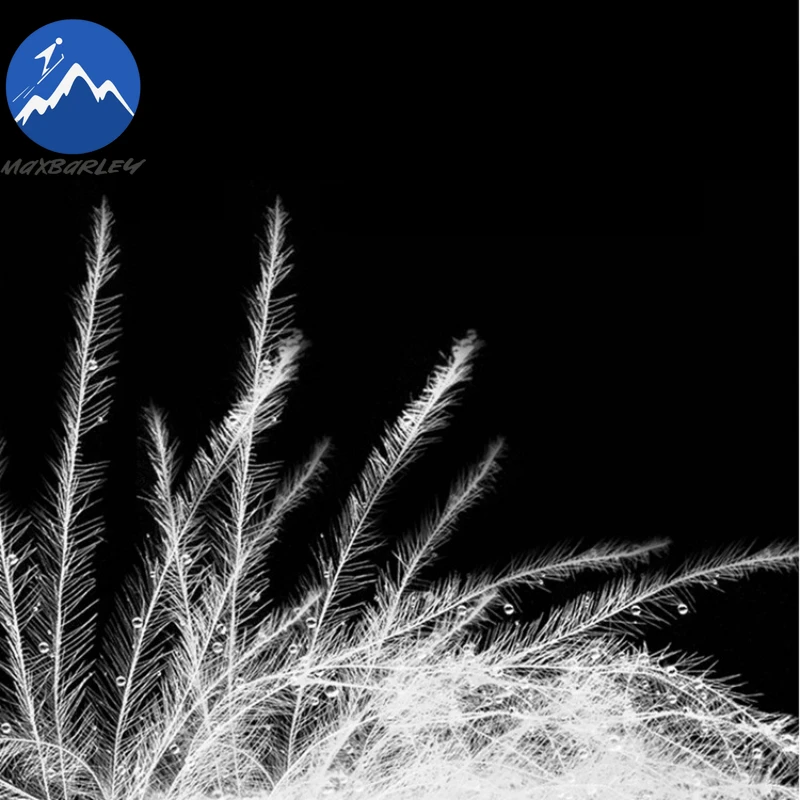 Maxbarley Men Down Jacket Ultra Light Outdoor Work Windproof Warm Puffer Coat Stand Collar Hiking Cold Resistant Winter Coats