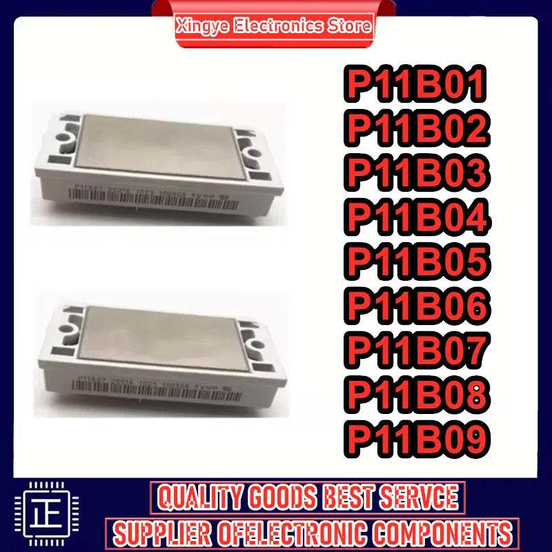 

P11B01 P11B02 P11B03 P11B04 P11B05 P11B06 P11B07 P11B08 P11B09