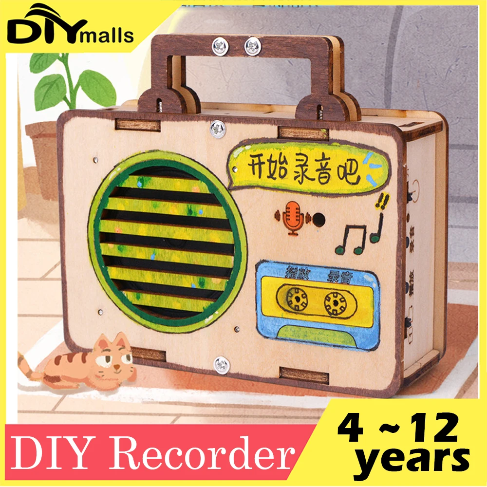 

DIY Recorder Model Student Science Education Scientific Training Experimental Equipment Steam Toys Children's Sound Recorder