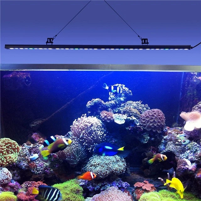 Dimmable led aquarium light hotsell