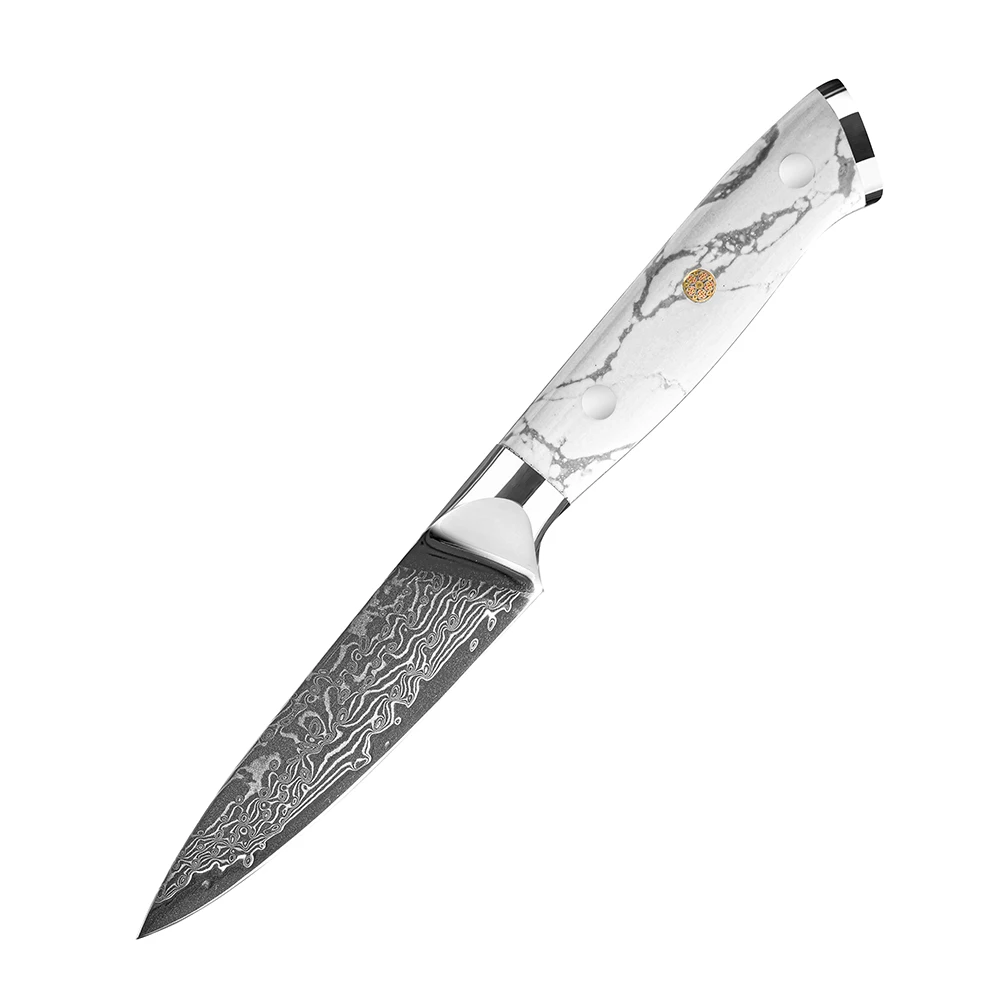 YAN Damascus Steel Japan AUS-10 Kitchen Knife 3.5 Inch Paring Knife with White Turquoise Stone and Composited Resin Handle