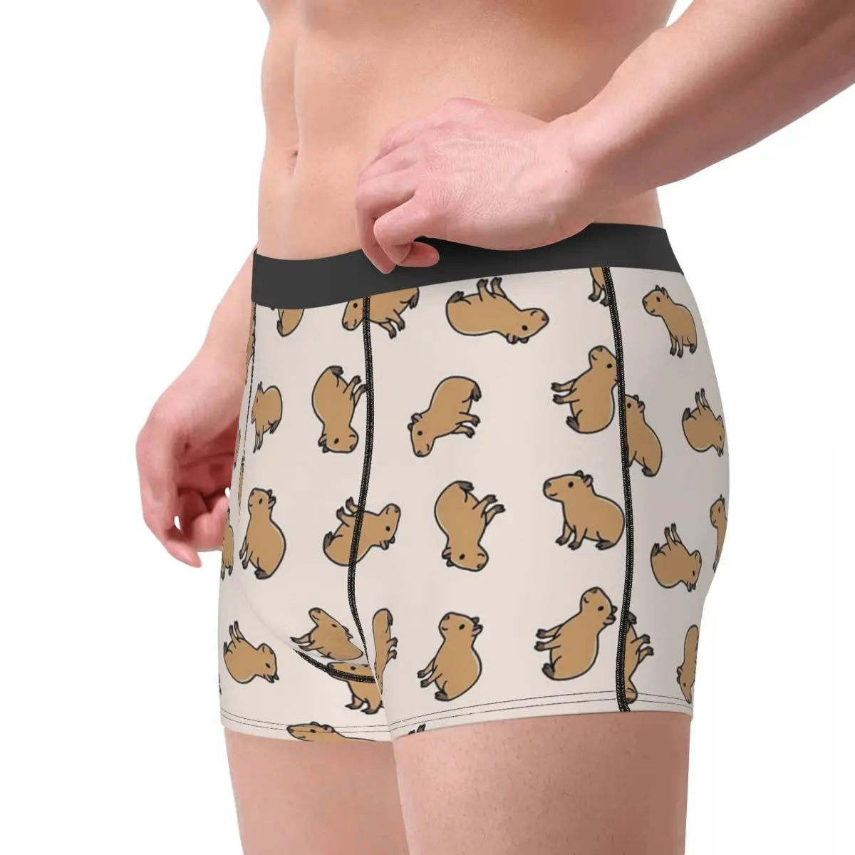 Boxer Underpants Shorts Capybara Panties Male Soft Underwear for Homme Man Boyfriend Gifts