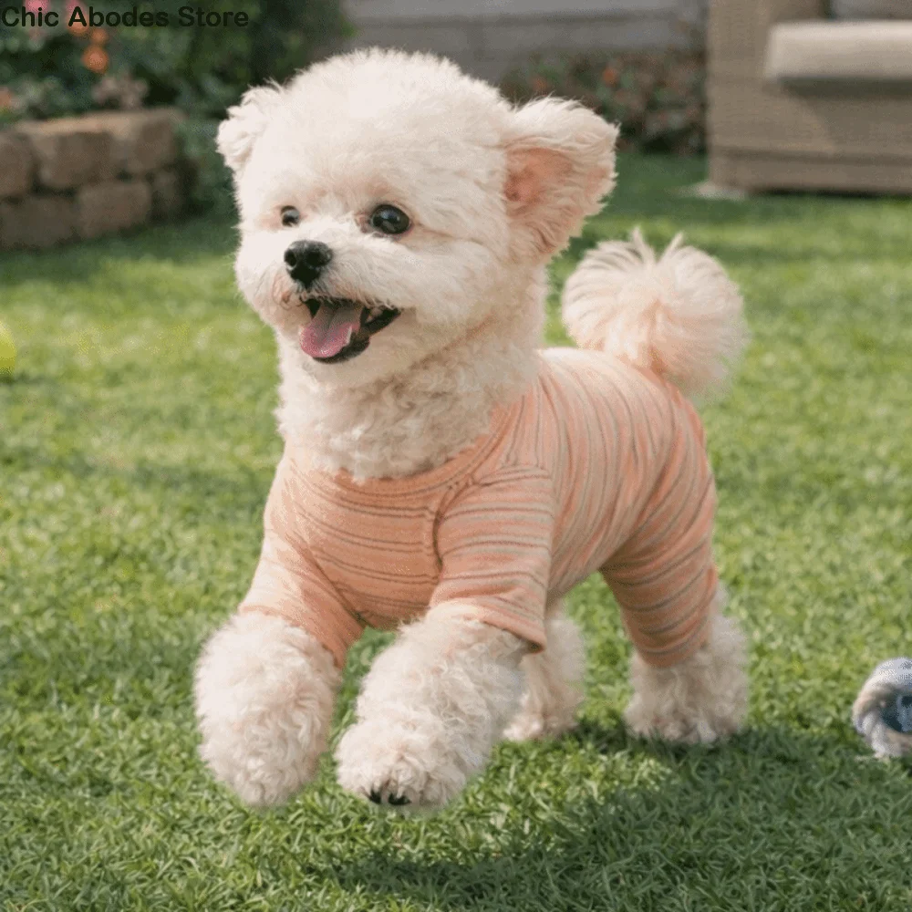 

Casual Soft Dog Striped Jumpsuit Comfortable Four-legged Pet Bottoming Shirt Warm Dog Recovery Suit Spring Autumn