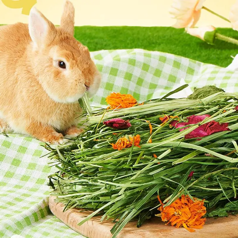

Rabbits Hay Food Natural Safe Bedding Grass Hay For Hamster Healthy Pet Food Improves Digestion For Small Animal Gerbils