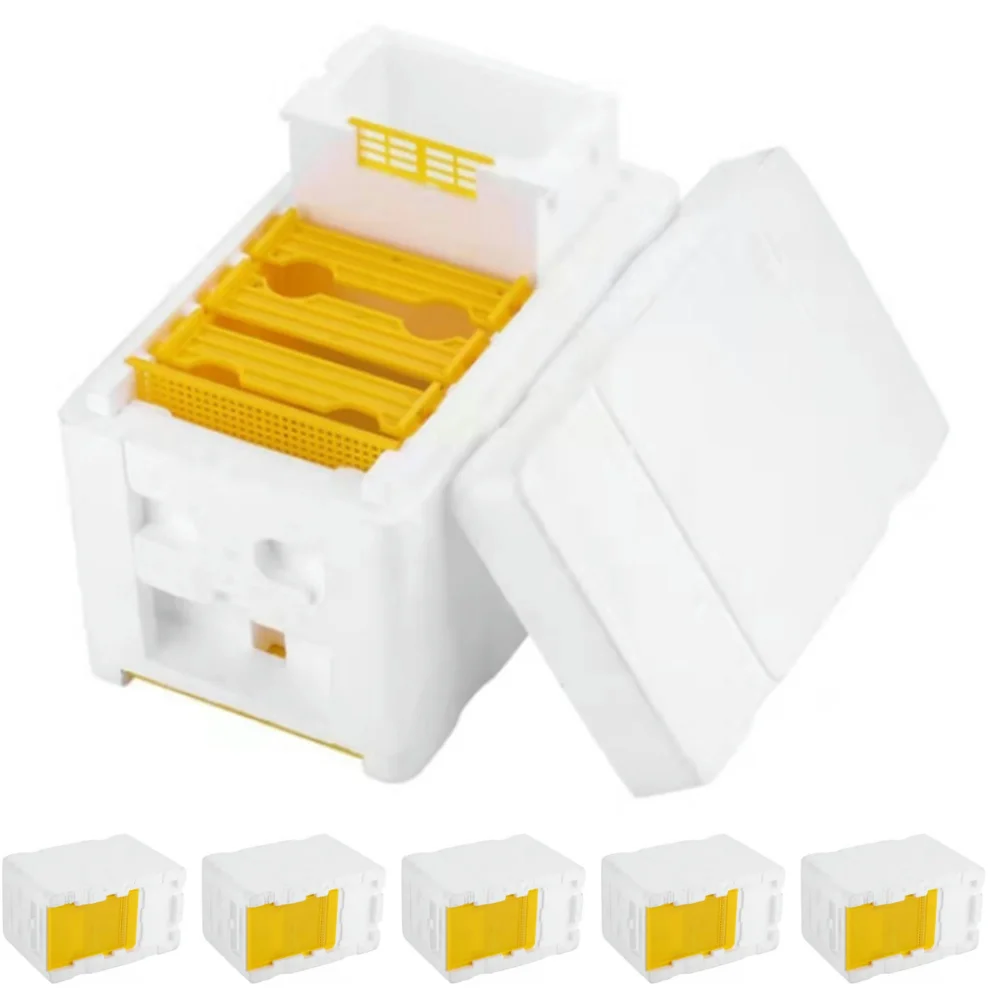 5-1 Set Queen Bee Rearing Mating Beehive Beekeeping Tools Foam Beehives Nuc Harvest Pollination BeesHive Box Beekeeper Suppliers