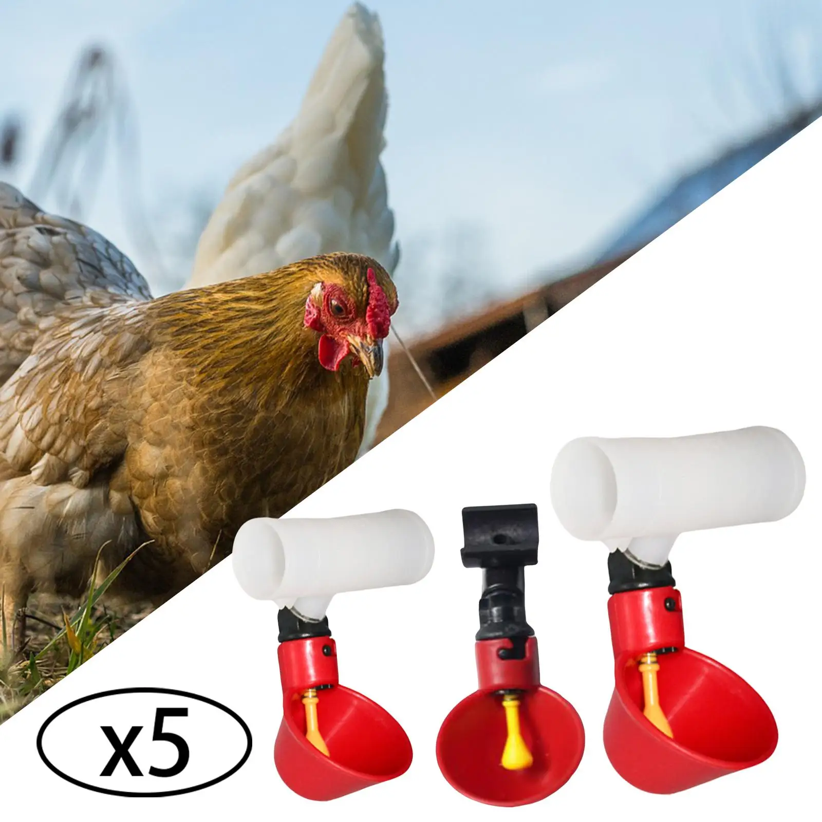 5x Automatic Chicken , Waterers Cups, Plastic Bowls Feeder Watering Cups for Chicks Poultry Supplies Hen Backyard