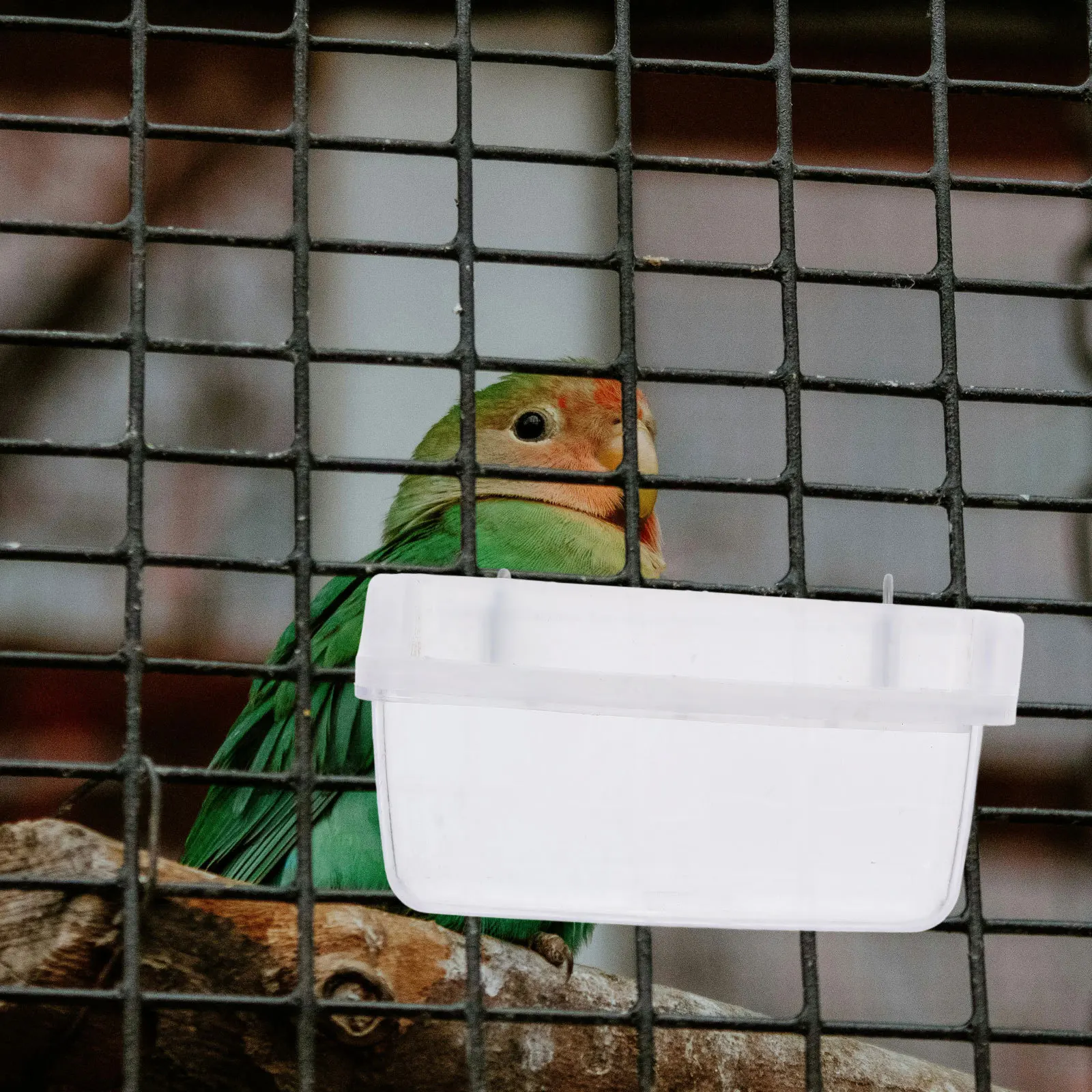 

Parrot Feeder Splashproof Transparent ABS Bird Cage Accessory Clear Dispenser Feed No Spill Food Container for Parrots Canaries