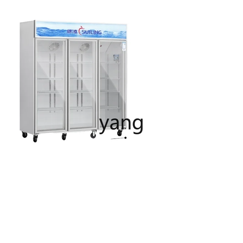 

L'm Double-Door Refrigerating Display Cabinet Refrigerator Commercial Vertical Double Door Refrigerated Cabinet Display Cabinet