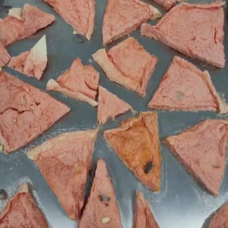 سعة صغيرة 4 كجم مجفف تجميد الطعام الفراغي أغذية الحيوانات الأليفة الفاكهة معدات تجميد الطعام الصغيرة