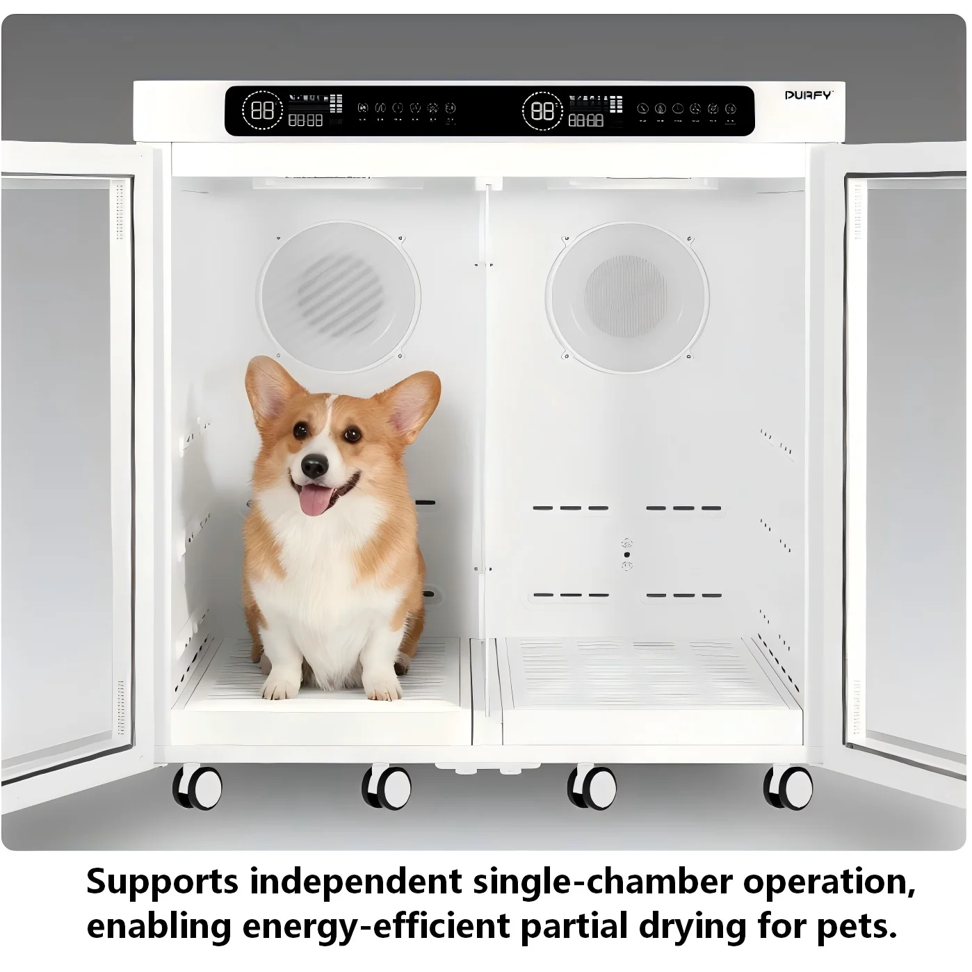 Pet Drying Box Large Dog Drying Cabinet Water-Sweeping Quick-Drying Cabin Water Blower Negative Ion Universal Dogs