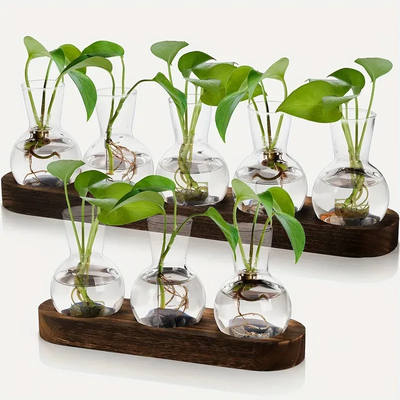 Glass Terrarium for Plants with Wooden Tray – For indoor propagation hydroponic vase，Desktop Home Office Decoration