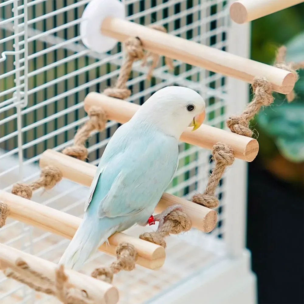 Thumbnail 4 - #15 Bird Cage Ladders Deals & Discounts