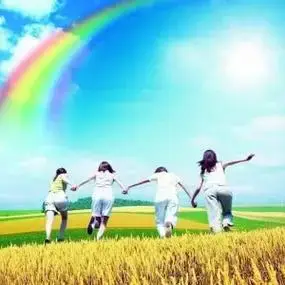 Lesklý černý karbonový kryt sloupku dveří a okna z uhlíkových vláken pro Suzuki Swift 5-dveřový 2005-2016, lišty, PC materiál, samolepka 10 nejlepší prodej Samolepky na Suzuki Swift - №7