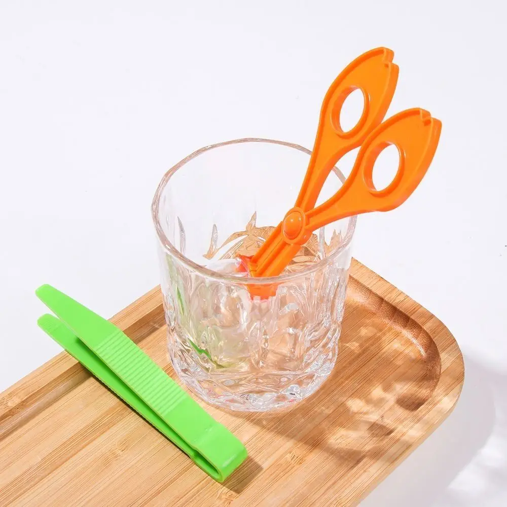 2Pcs/Set Cute Plastic Biology Study Tool Set Plant Insect Insect Catcher Set Scissor Tweezers Nature Exploration Toy Kit School