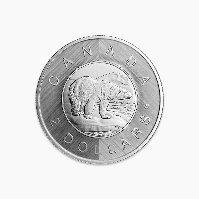 

2025 Canada Polar Bear Commemorative Coin .9999 Fine 1 Oz W Mint Mark Collectible Uncirculated