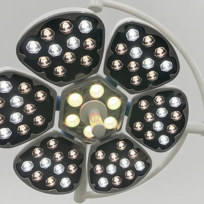 Surgical Shadowless Lamp, LED Round Head Wall-mounted Ceiling Mobile Hospital Dental Examination Lamp, Shadowless Lamp