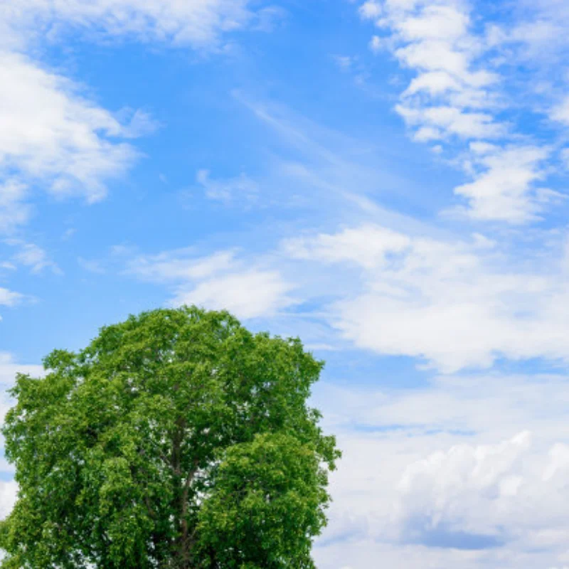 

MJX JJRC 1:14 1:16 14301 14302 14303 Remote control car metal upgrade accessory 4pc aluminum alloy 12mm hexagonal connector