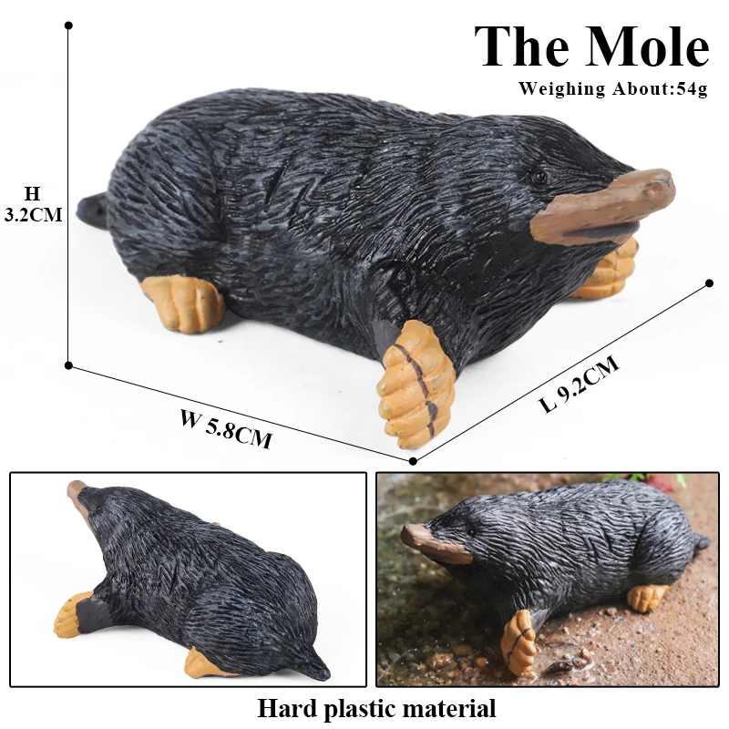 Oenux Simulação Roedores Animais Modelo Rato Selvagem Marmota Chinchilla Rato Esquilo Figura de Ação Bonito Mini Coleção Kids Gift Toy