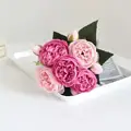 Pink Rose