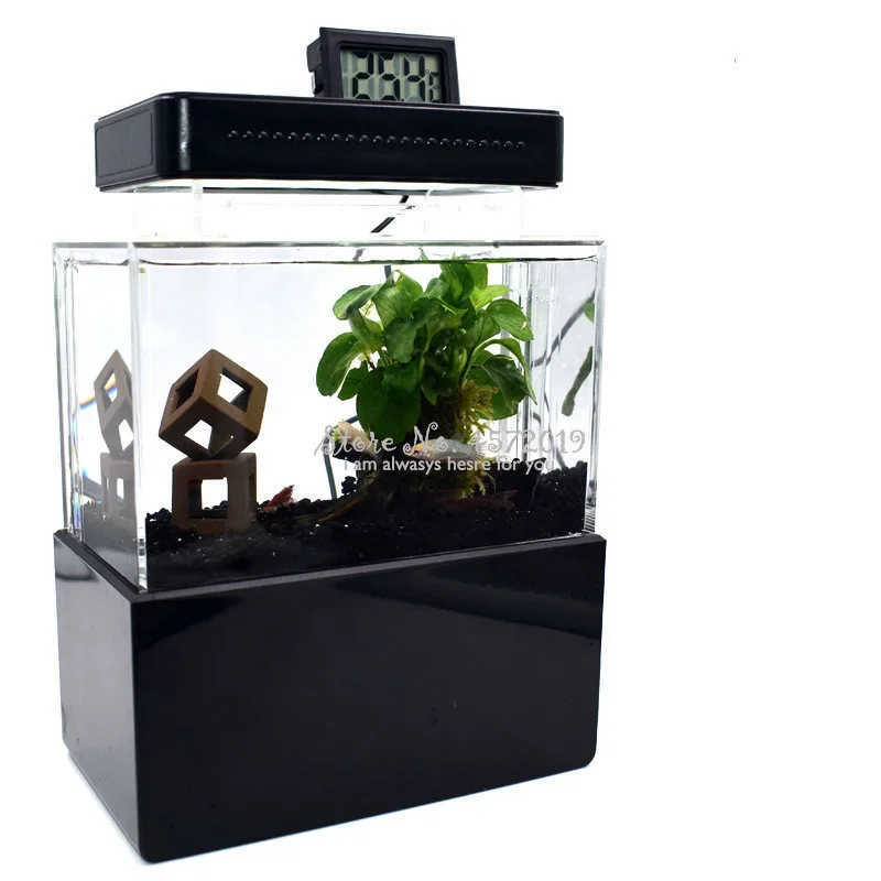 Mini Betta Fish Tank - Desktop Portable Aquaponic Aquarium, LED Light USB Air Pump, Water Filter Decoration Modern Bowl