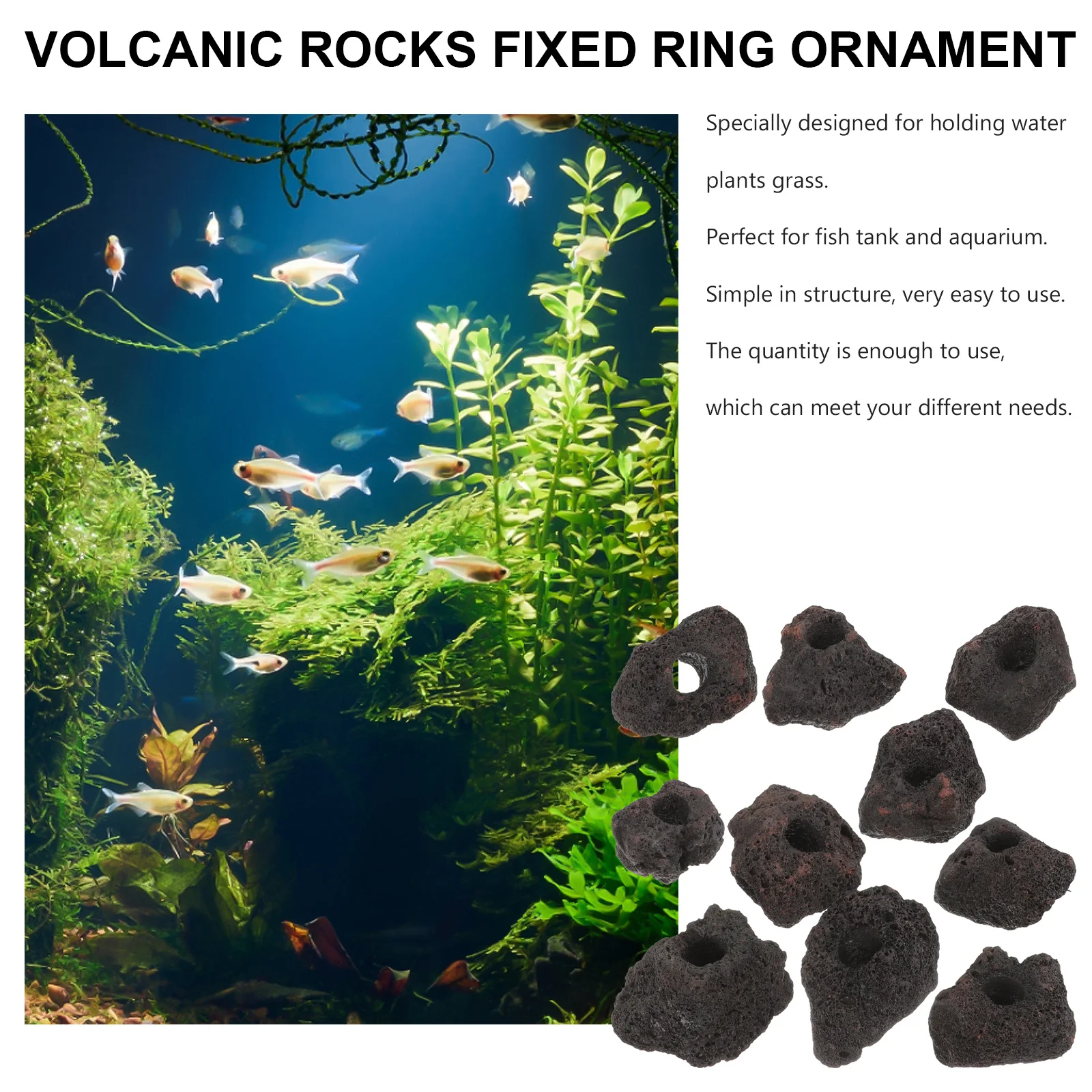 

10Pcs Volcanic Rocks Aquarium Plant Fixed Ring Fish Tank Shelter Holder Water Plants Base for Aquatic Habitat Fish Tank Decors