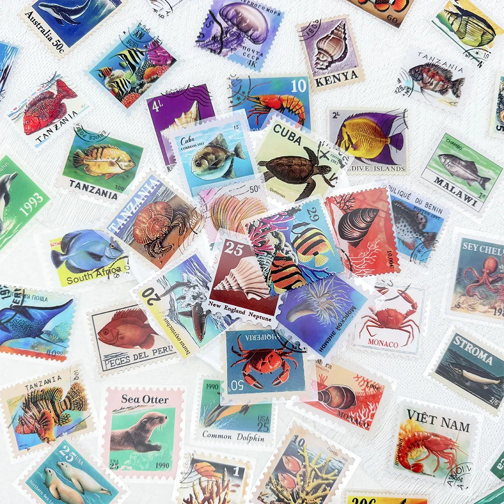 50pcs Marine Creature Stampa Transparent PET Stickers Decals For Phone Laptop Refrigerator Suitcase Guitar DIY Aesthetic Sticker