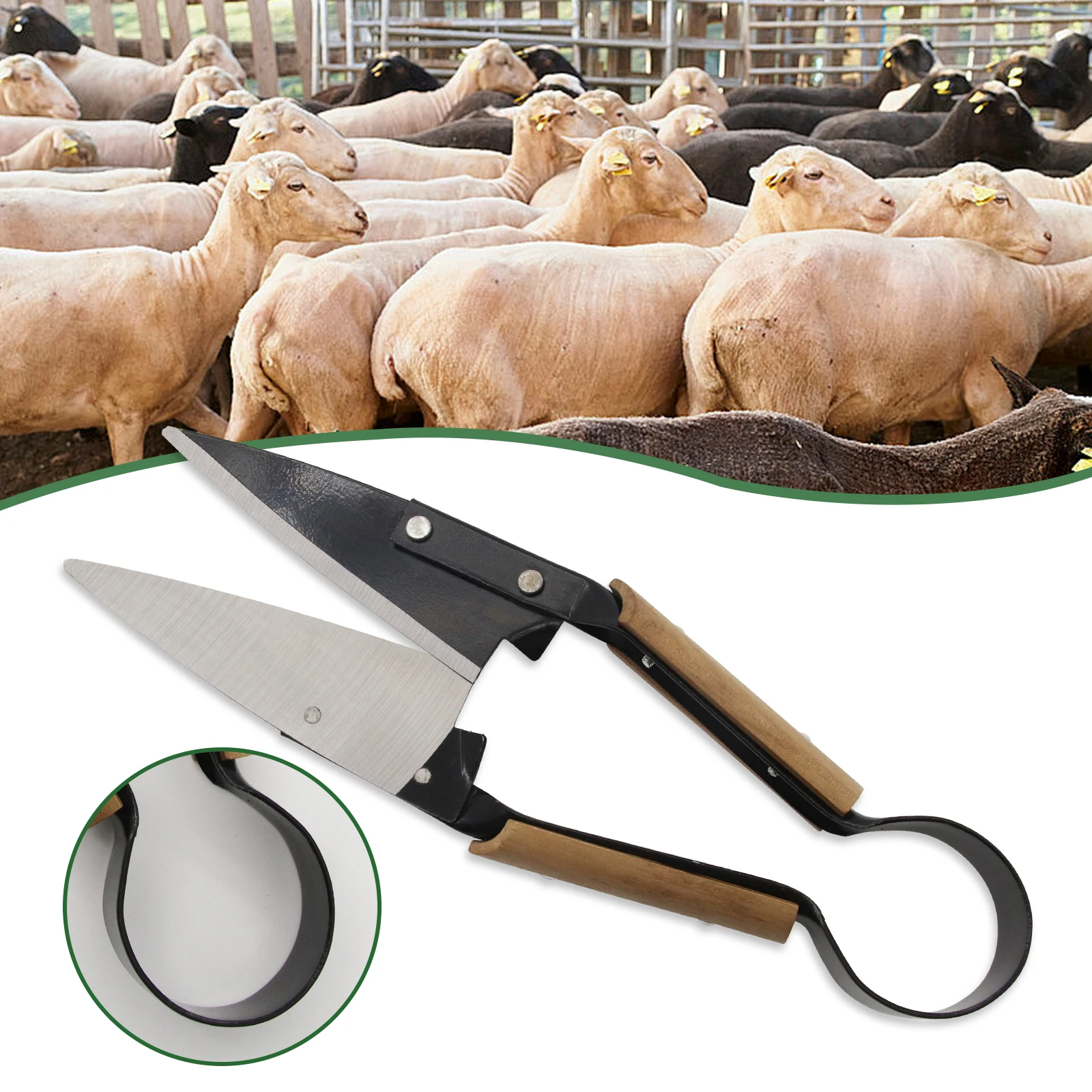 Tijeras de mano para cortar ovejas, arco único, cizalla para ovejas y cebolla de alta resistencia para alpaca, hoja de acero al carbono de 6,1 pulgadas, 12,5 pulgadas de largo