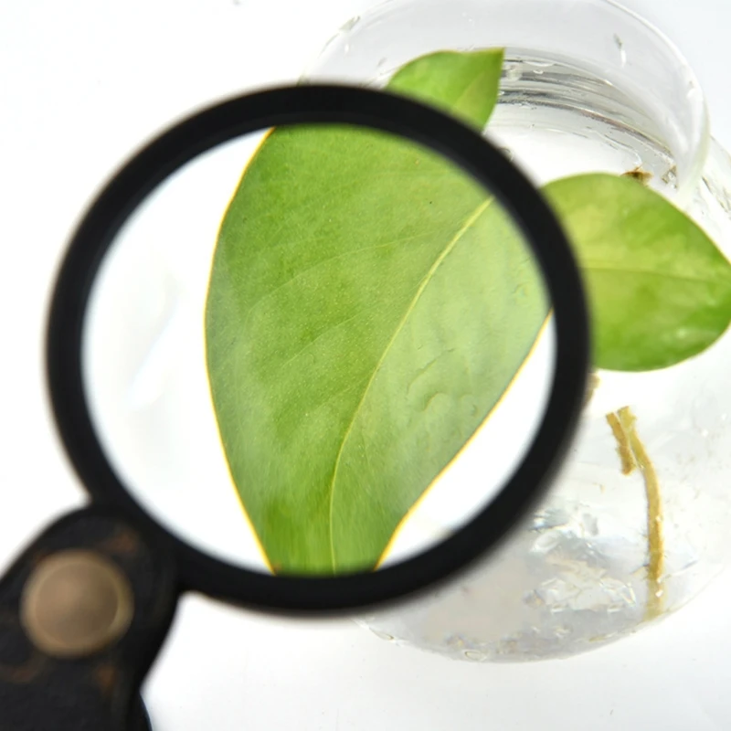 A2UD Glass 15X Folding Pocket Magnifier with Leather Protective Case Foldable Reading Glass