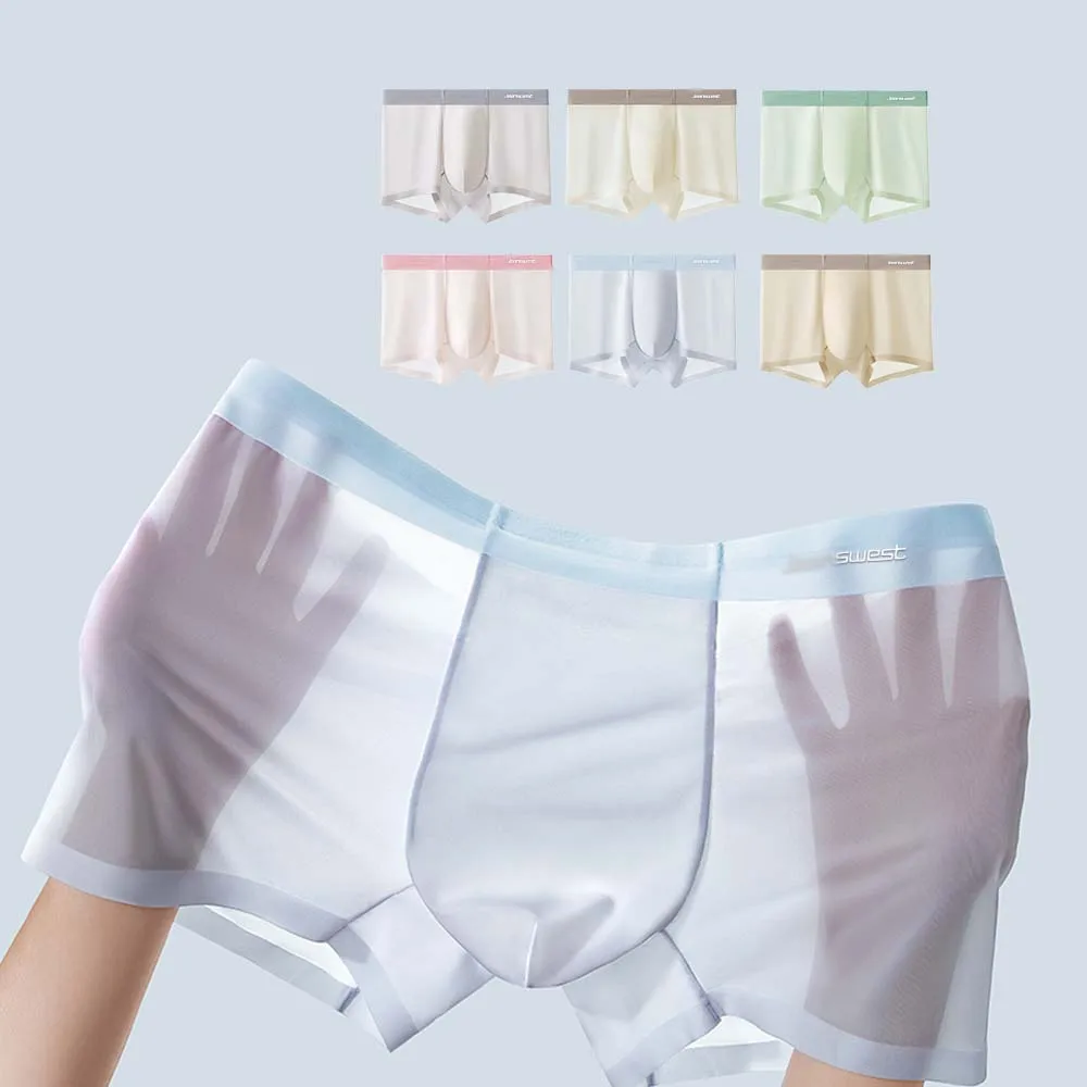 

2/3/4/6Pcs Men's Panties Ice Silk Comfortable Sexy Men Underwear Mesh Breathable U Pouch Design Boxers man