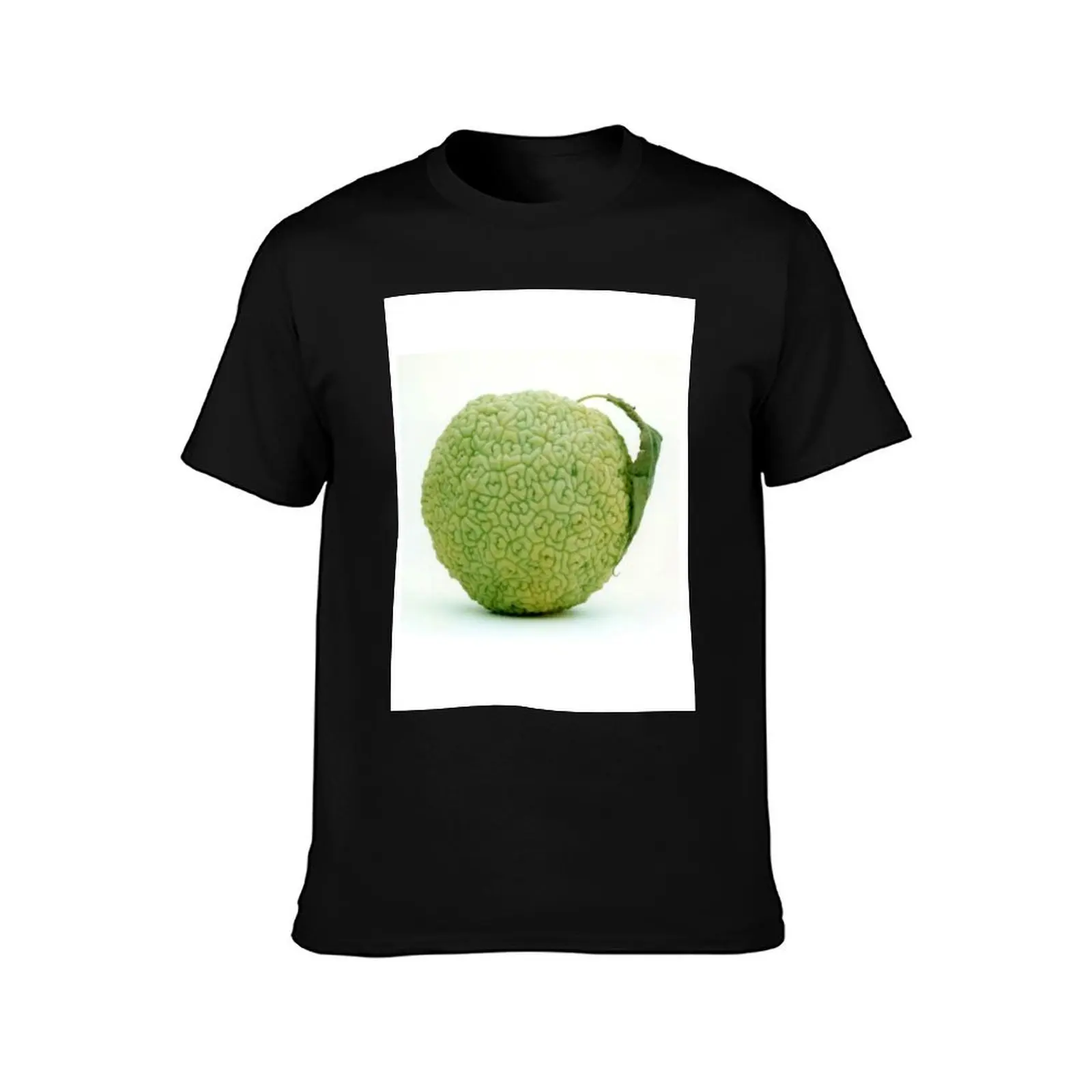 Hedge Apple Hedgeapple Osage Orange T-Shirt cute clothes animal prinfor boys heavyweights vintage plain white t shirts men