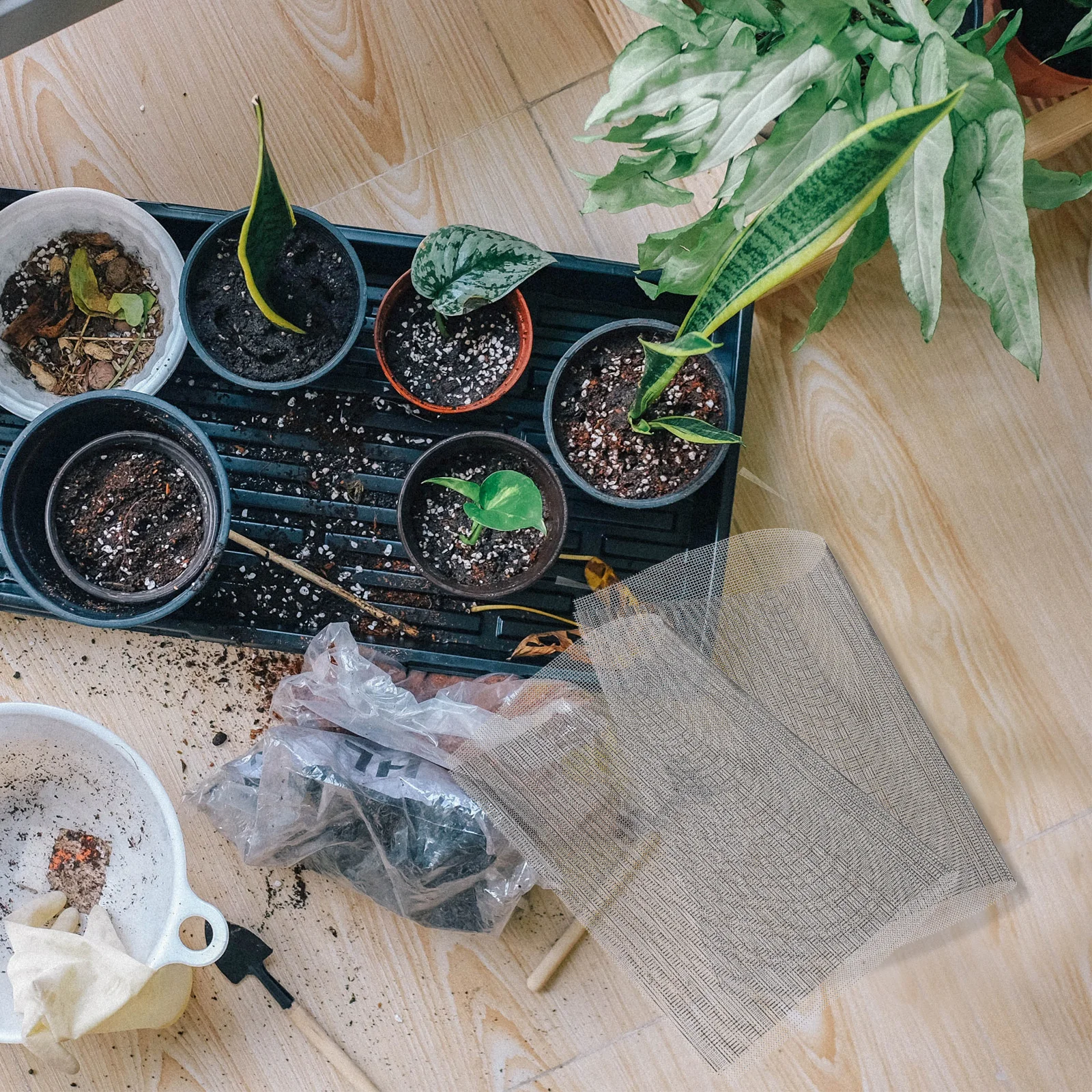 

5pcs Stainless Steel Screen 5-Layer Fine Metal Mesh Sheet For Plant Pot Drainage Gardening Bonsai Pots Accessories Wire Mesh