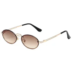 Mode Ovale Zonnebril Voor Dames Heren Zonnebril Vintage Klassieke Kleine Montuur Brillen Designer Tinten Y 2K Gafas De Sol Mujer