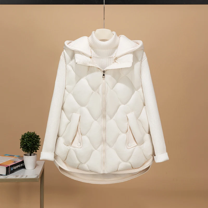 

Женский утепленный жилет свободного кроя 2025: новая коллекция осень-зима, со съемным капюшоном, укороченный, с высоким показателем теплосбережения