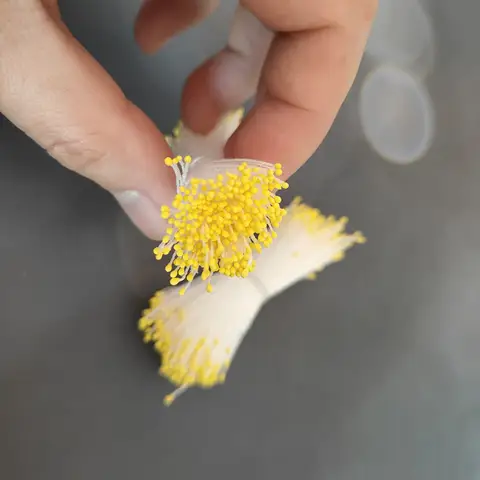 700pcs 1mm Mini Flower Stamen Pistil Double Heads Retro Matte Fake Flower Wedding Christmas Scrapbooking Gift Craft DIY Making