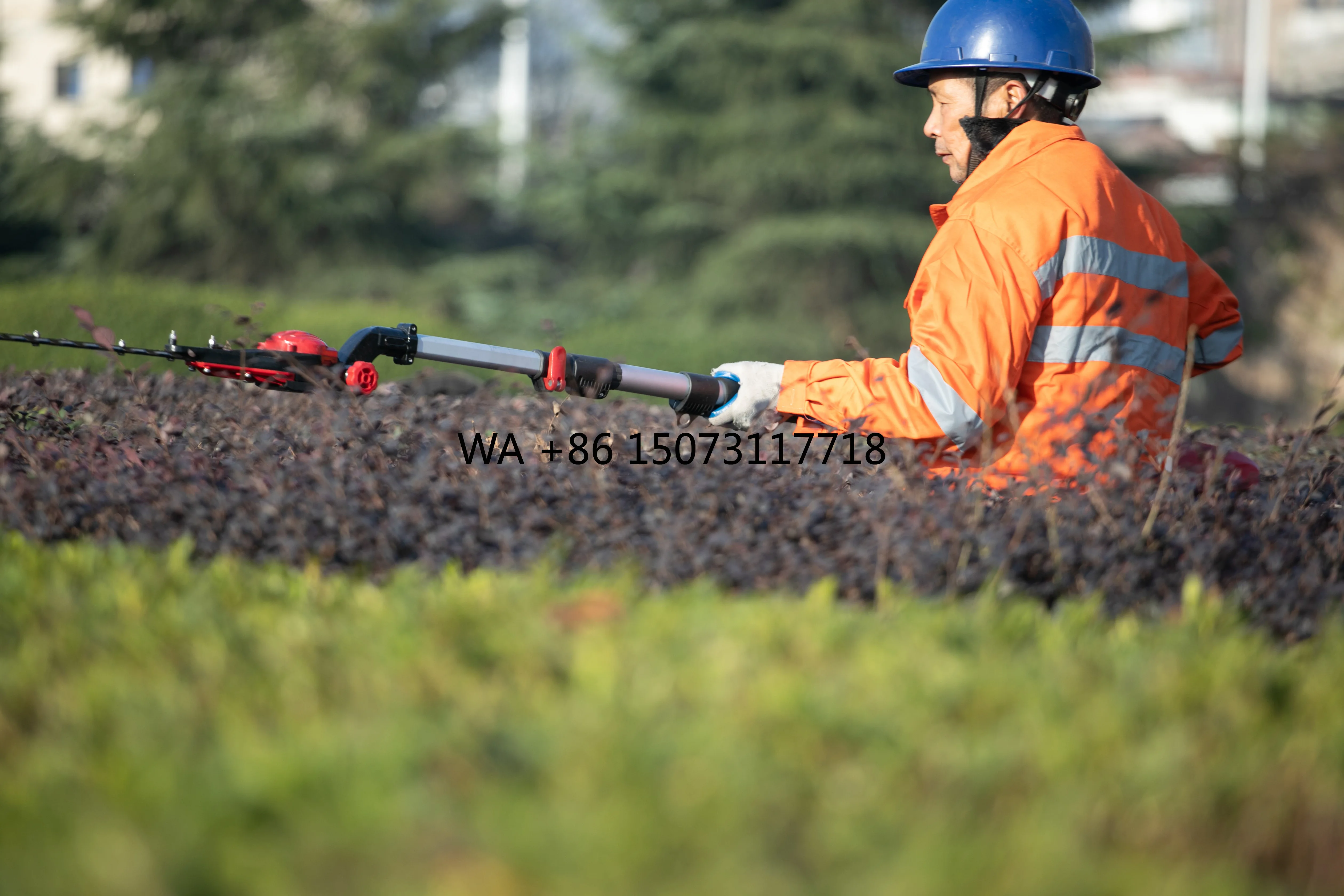 

New Energy 36V Electric Hedge Trimmer Industrial Grade with 630mm Long Pole 7.8AH Rechargeable Lithium Battery Newer Model