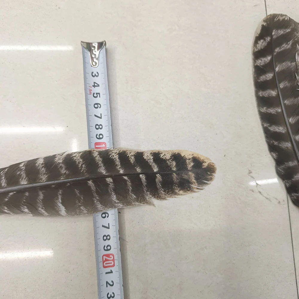 30-33CM/12-13INCH Long Super Quality And Wide 6CM Turkey Wings Feathers