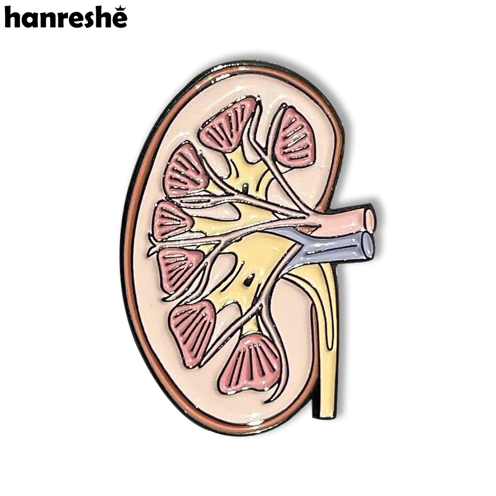 Hanreshe Kidney Anatomy Brooch Enamel Lapel Pins Medical Jewelry Badge Biology Gift for Doctor Nurse Medicine Student